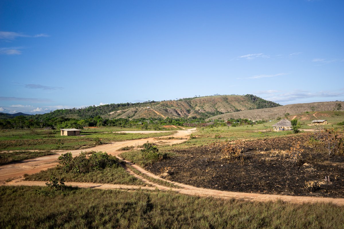 Mongabay Latam tweet media