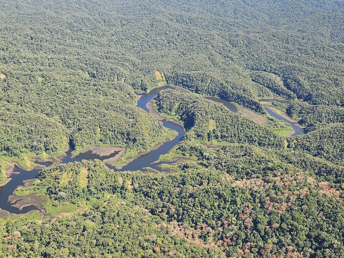 Mongabay Latam tweet media