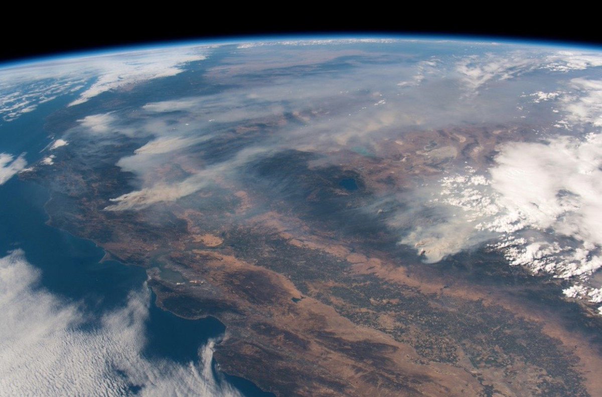 headhort tweet media