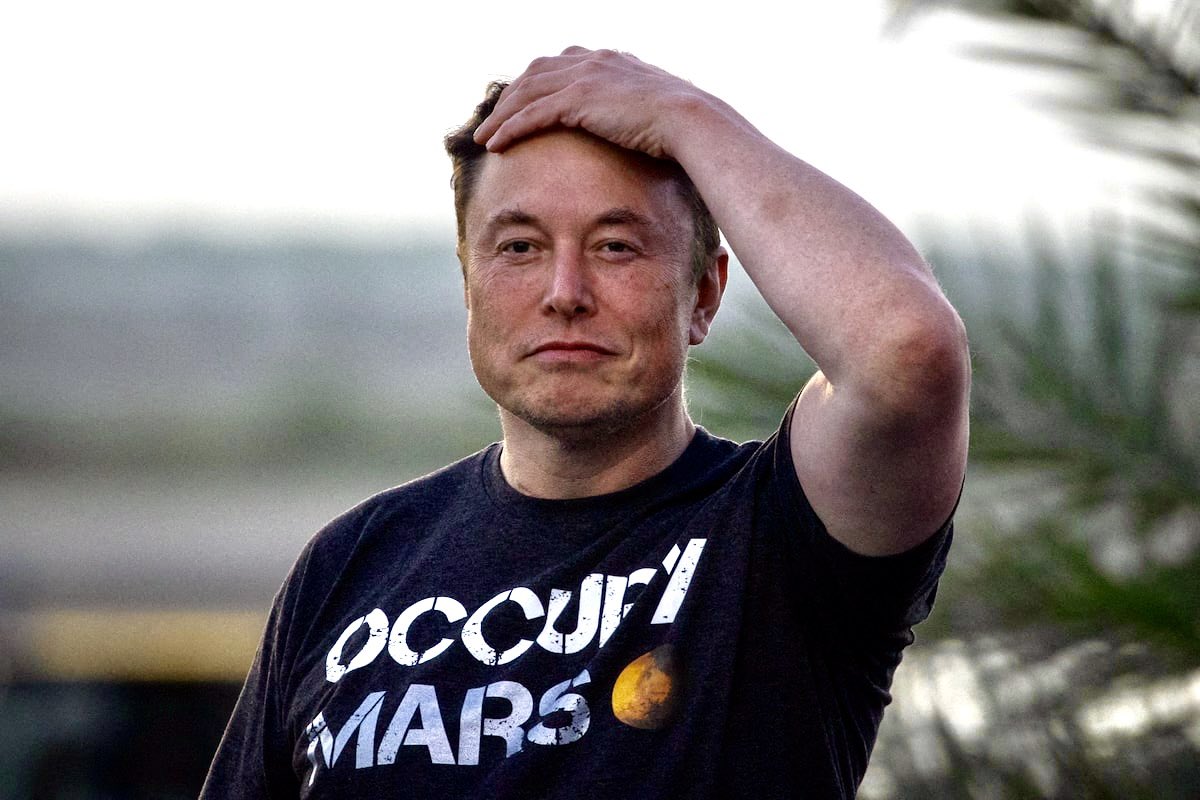 Muskonomy tweet media