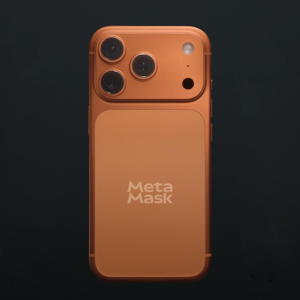 MetaMask 🦊 tweet media