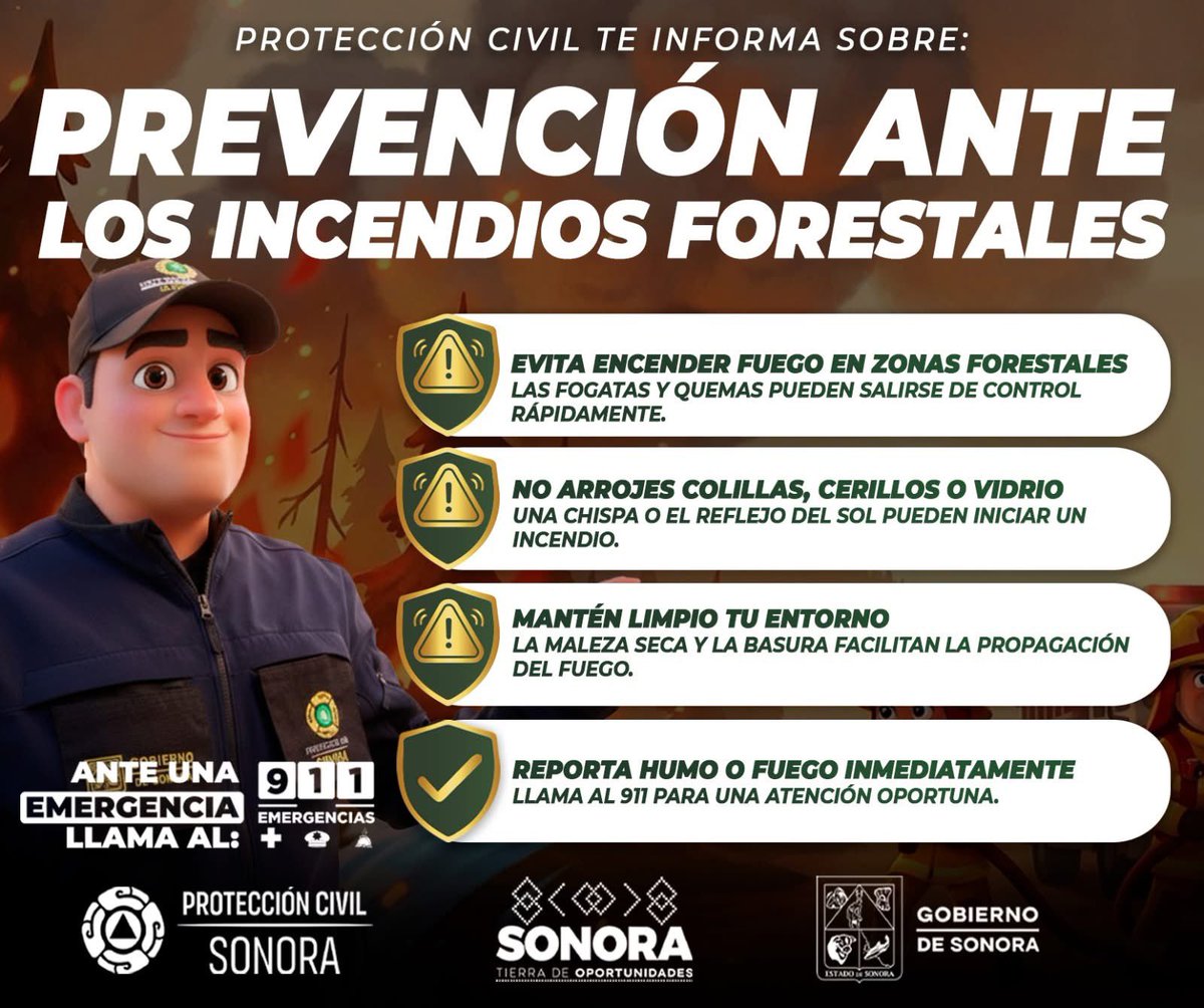 Protección Civil Sonora tweet media