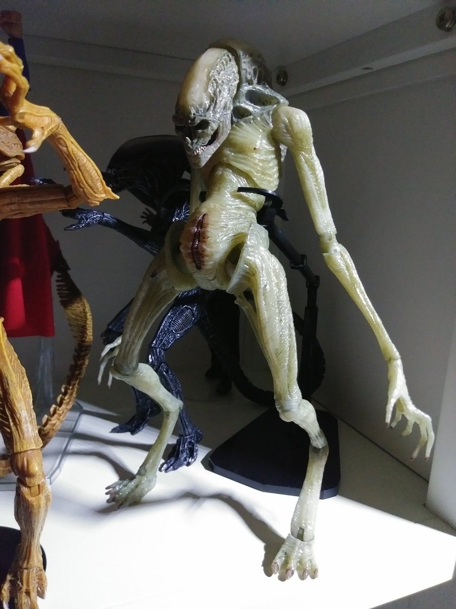 ✨Multiversal Incursions✨ tweet media