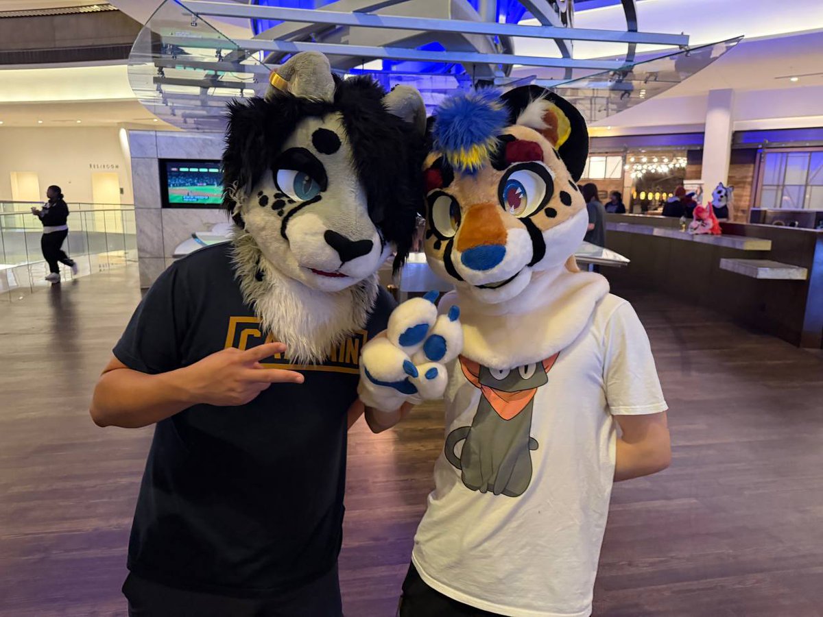 Goth Cheetah ➡️ AC, MP tweet media