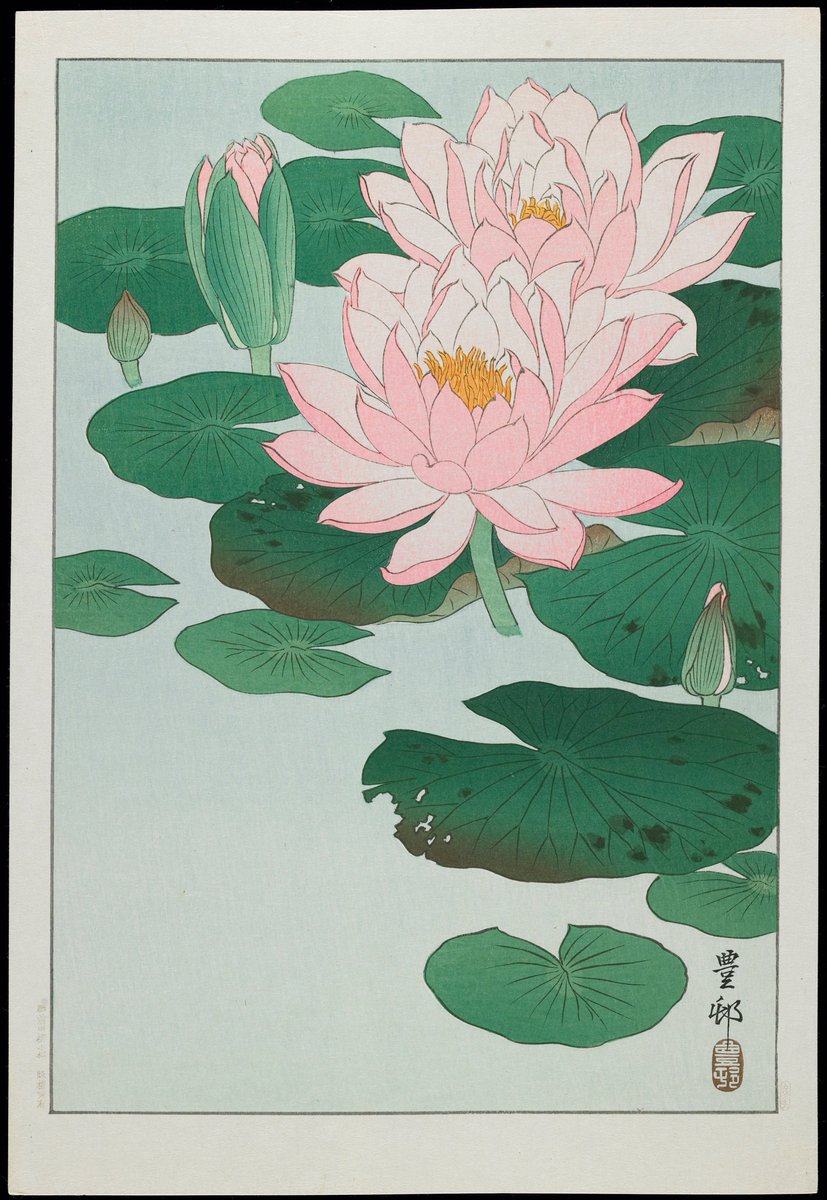 JapanTraCul's tweet photo. Water Lily, by Ohara Koson, ca. 1928-1930 https://t.co/aE1WNAyWH8