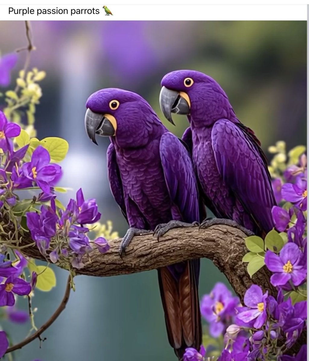 viralbirds1's tweet photo. Nhi https://t.co/d2C370ThWn