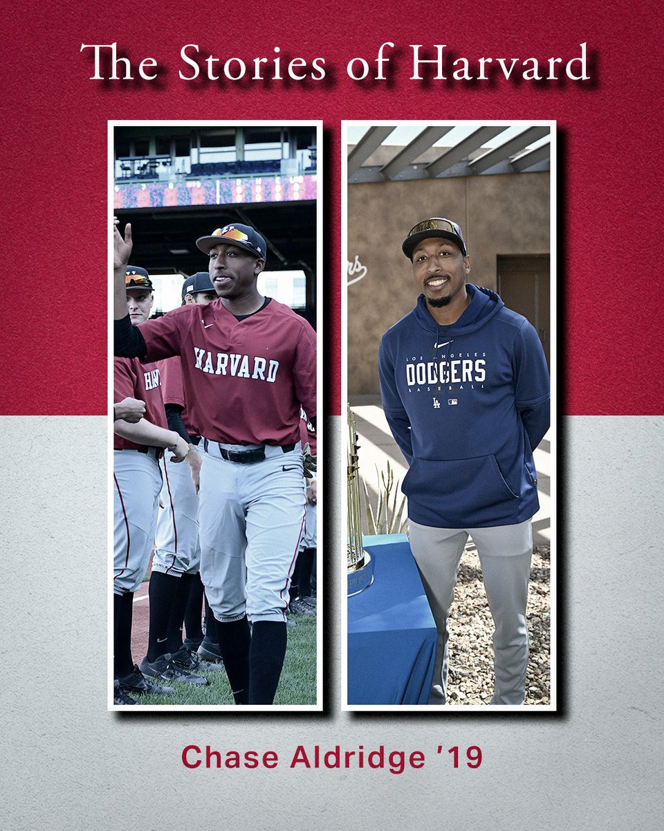 Harvard Baseball tweet media