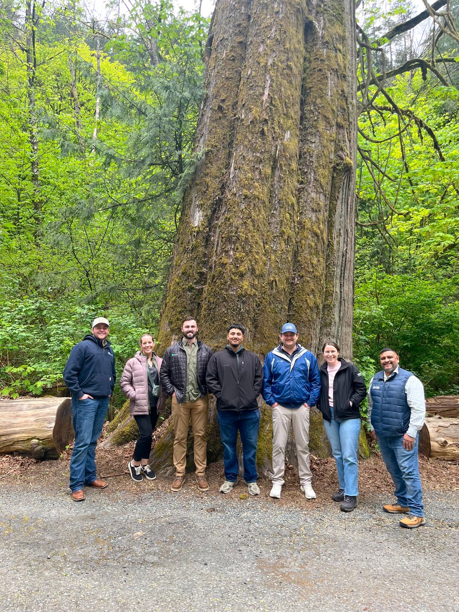 Western Forest Products tweet media
