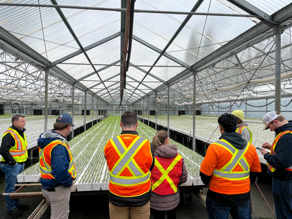 Western Forest Products tweet media