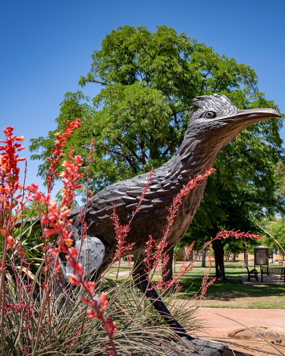 Lubbock Christian University tweet media