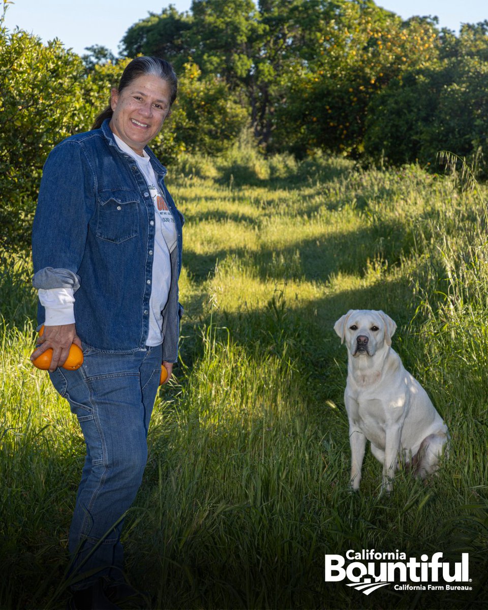 California Farm Bureau tweet media
