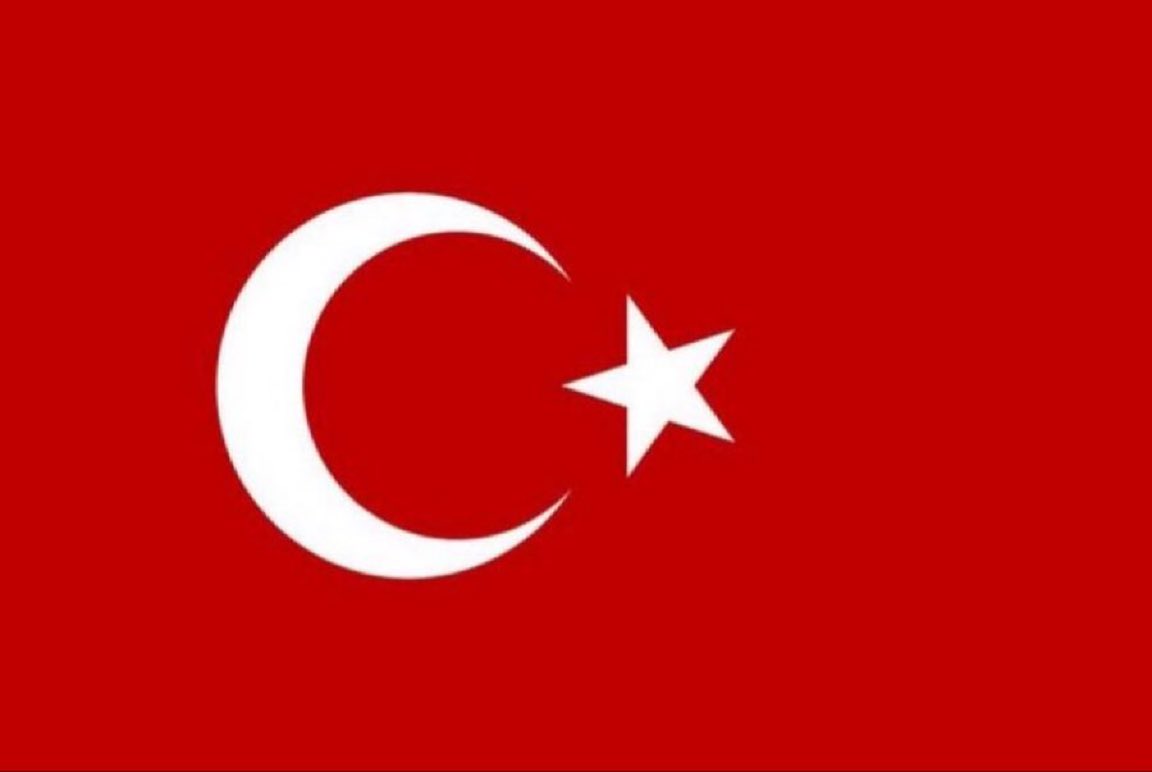 Gökçe Katun tweet media