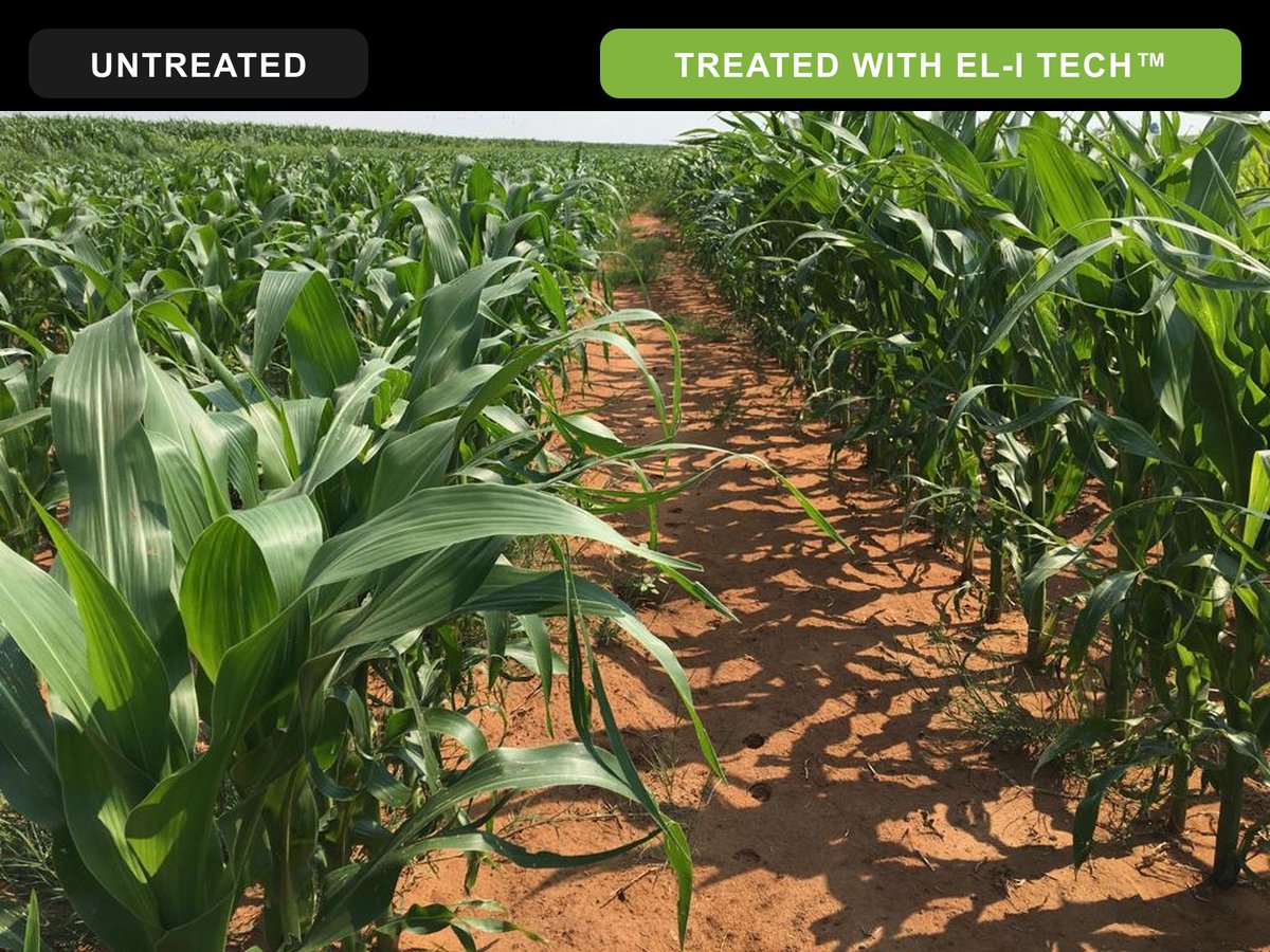 altusvenables's tweet photo. EL-I Tech™ launched in the US &amp; CA this week. Biggest global agriculture breakthrough in 70 years. A biological engine that replaces up to 220 lbs of conventional fertilizer per acre with 0.1lb of EL-I Tech™. More: https://t.co/MRjCWcBCTa https://t.co/nyXugPbFX1