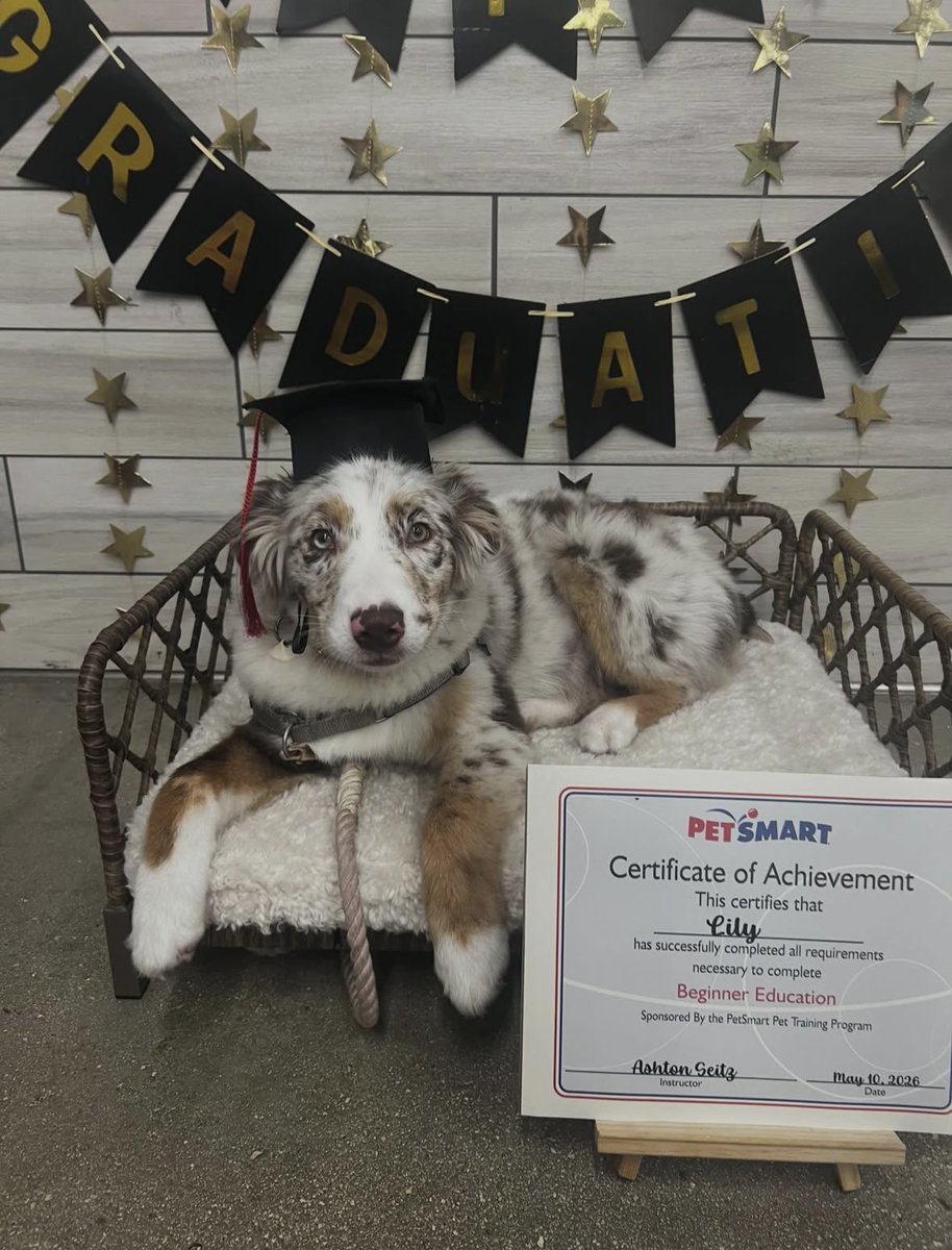 _Sierraa_H_'s tweet photo. My baby graduated beginner training https://t.co/r0fXOW7fv4