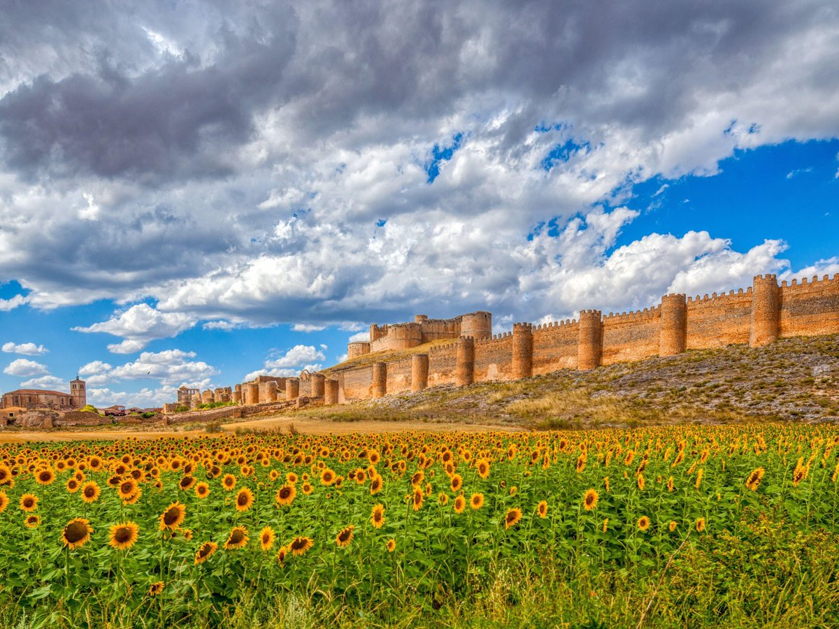 Magical Spain tweet media