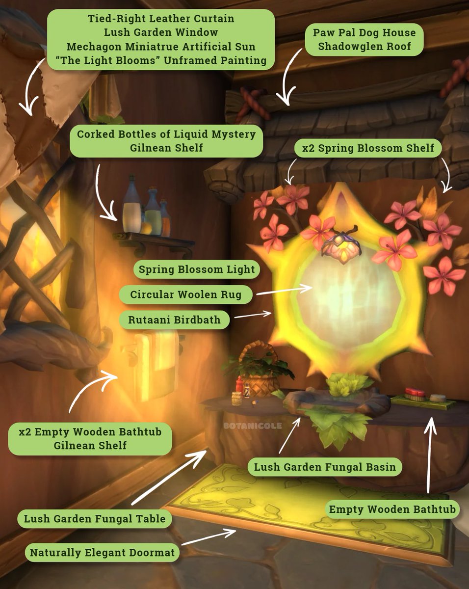 Botanicole 🌱 tweet media