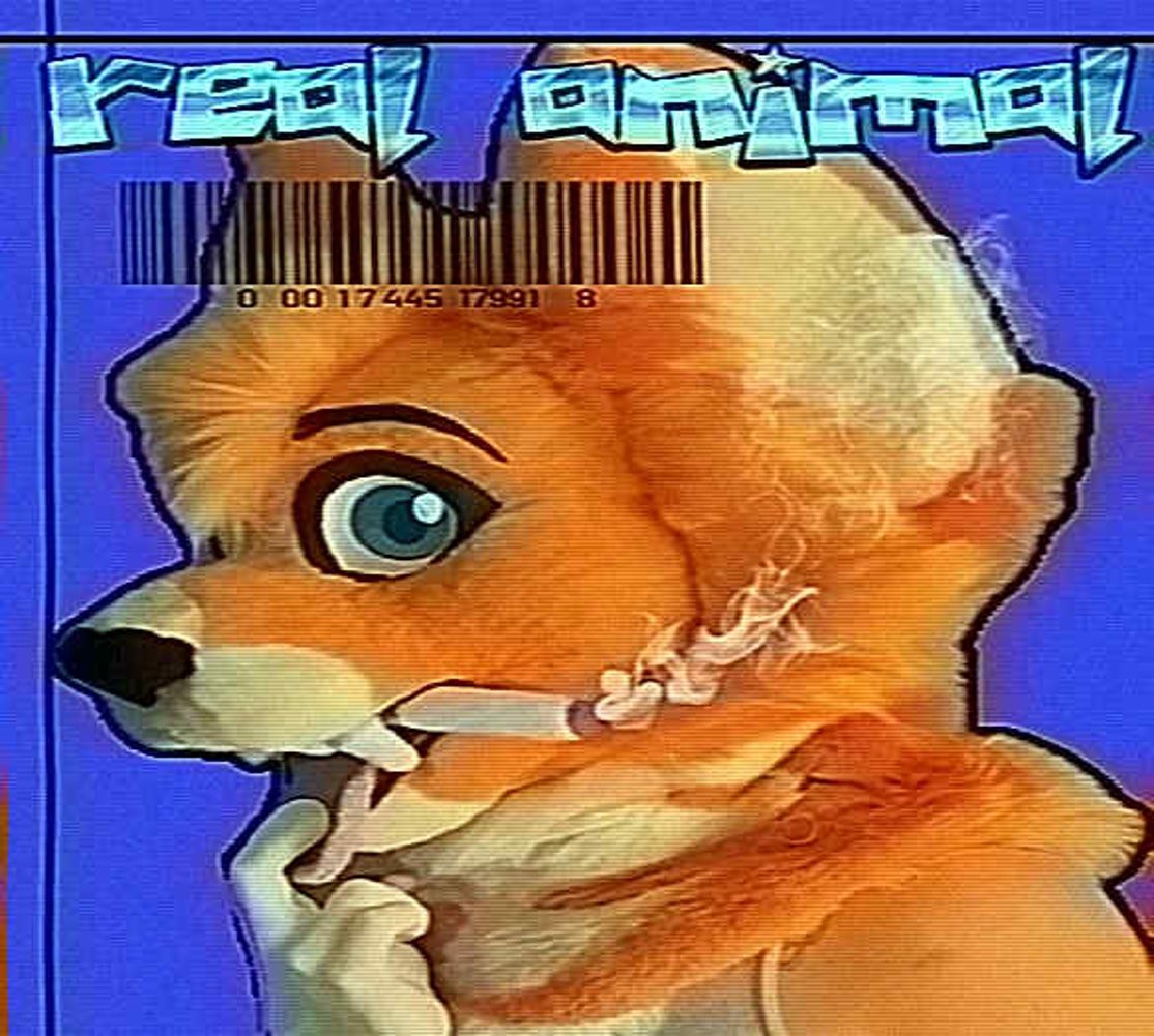 sploingyrecords tweet media