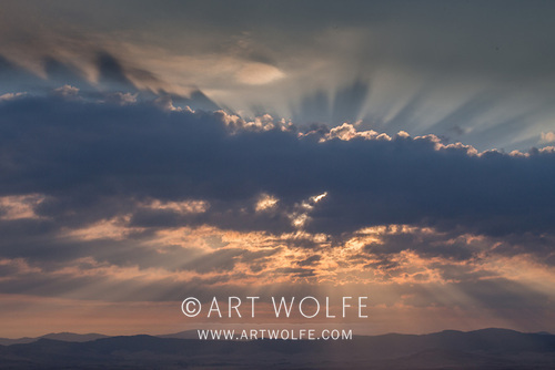 Art Wolfe tweet media
