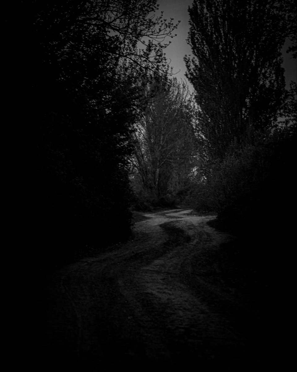 _curcue_'s tweet photo. detalles en blanco y negro https://t.co/ig9k62QWAY