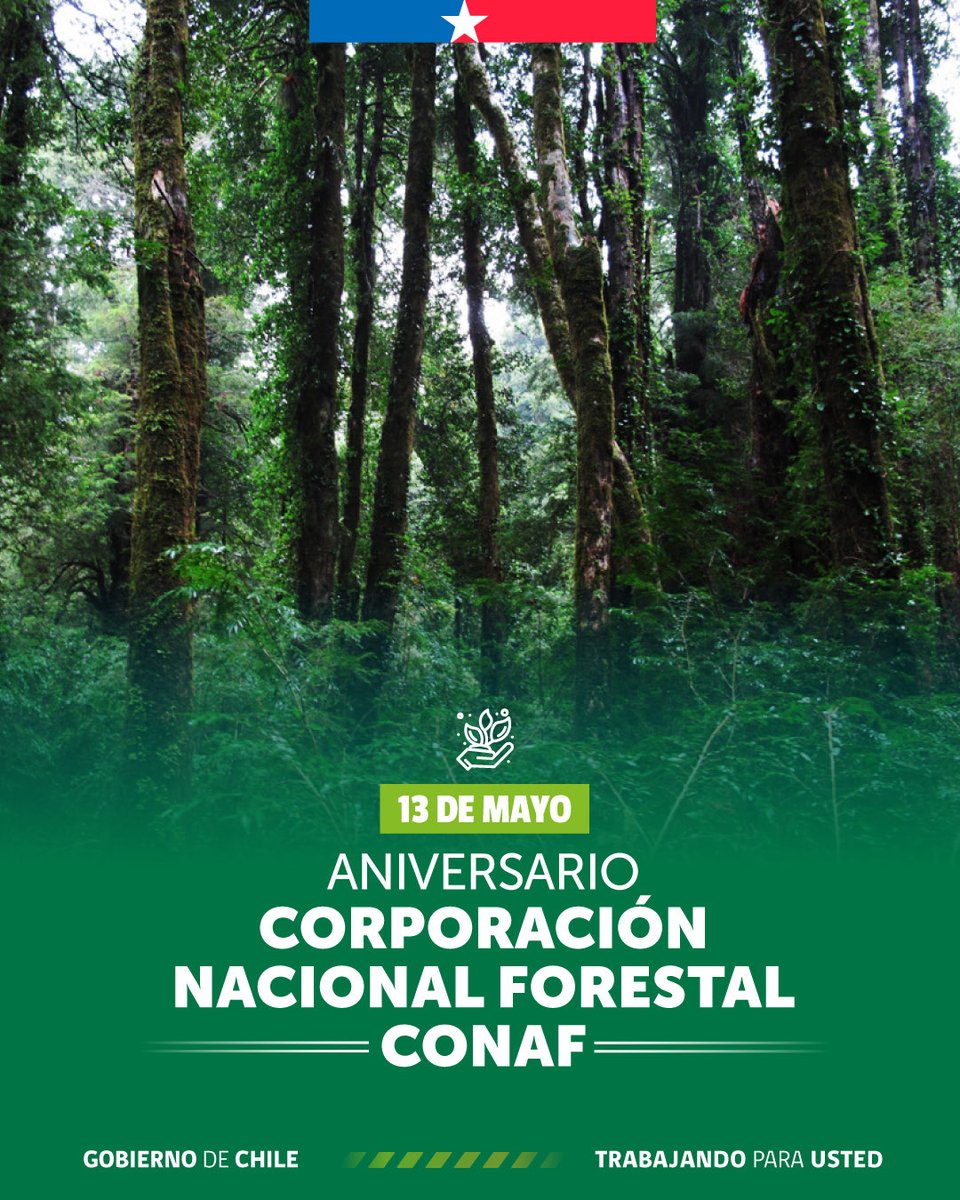 Minagri Biobío tweet media