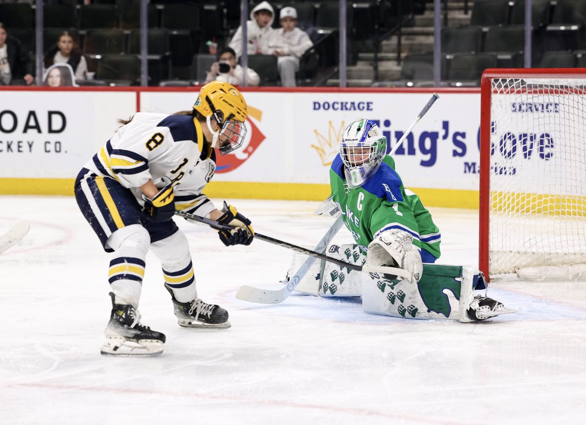 Dartmouth_WIH's tweet photo. Excited to welcome Janie McGawn, a goalie from Edina, Minnesota, to Hanover!

#GoBigGreen | #TheWoods https://t.co/uDCQb3499T