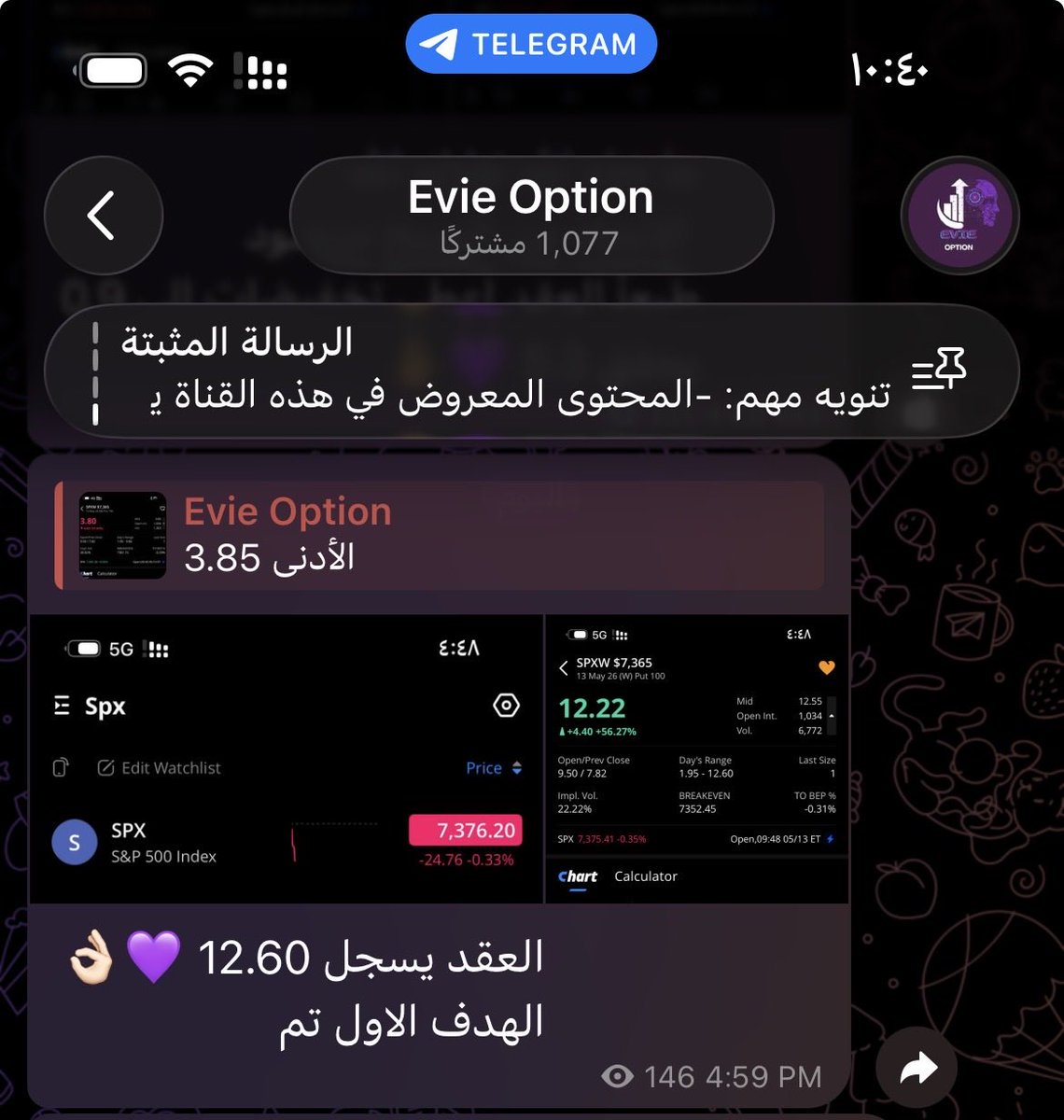 EVIE OPTION tweet media