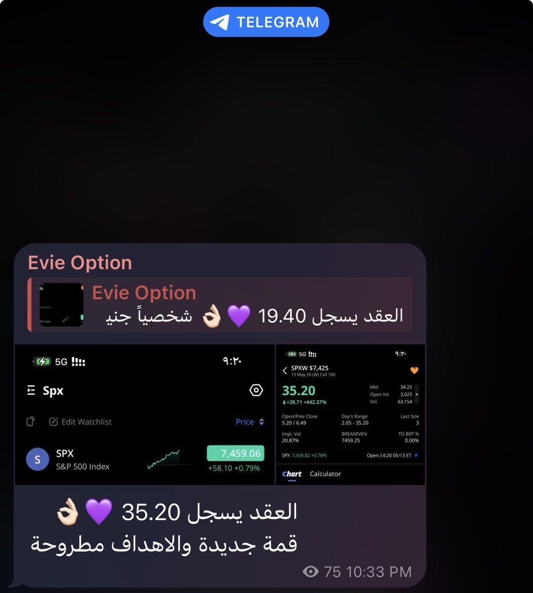 EVIE OPTION tweet media