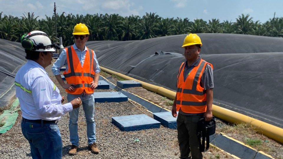 Jose_LuisMEX's tweet photo. Gracias #HAME por la visita a la extractora de aceite de palma 🌴y a la empacadora de banano 🍌.
Qué impresión ver su sistema de producción certificada en sostenibilidad, energías renovables, circularidad y responsabilidad social.
#SabiasQue además tiene planta🌴en Campeche 🇲🇽 https://t.co/VOrfH1Xvvi