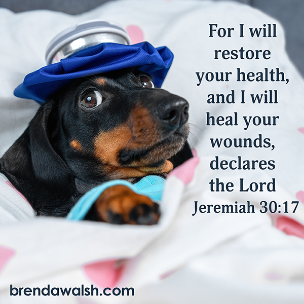 brendakwalsh's tweet photo. Today's Daily Scripture Picture: Beyond Human Remedies
"For I will restore your health, and I will heal your wounds, declares the Lord."
#Christian #ChristianLiving #verseoftheday #bible #bibleverse #heal #health #divineintervention #safe #protection #trust #power #caredfor https://t.co/z7LgSO4Stc