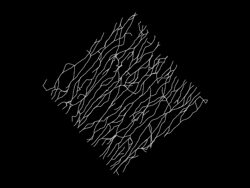 NeuroMorphoOrg's tweet photo. New agile release of https://t.co/xq9slALVmX available, v8.6.119, including 59 novel reconstructions in the Kim_KW archive. https://t.co/MI6OA2Xfox https://t.co/3WWZ08g8Yr