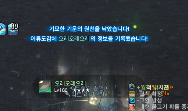 필패'트리버 tweet media