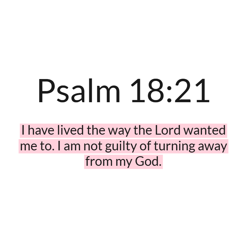 Jesus Insight tweet media