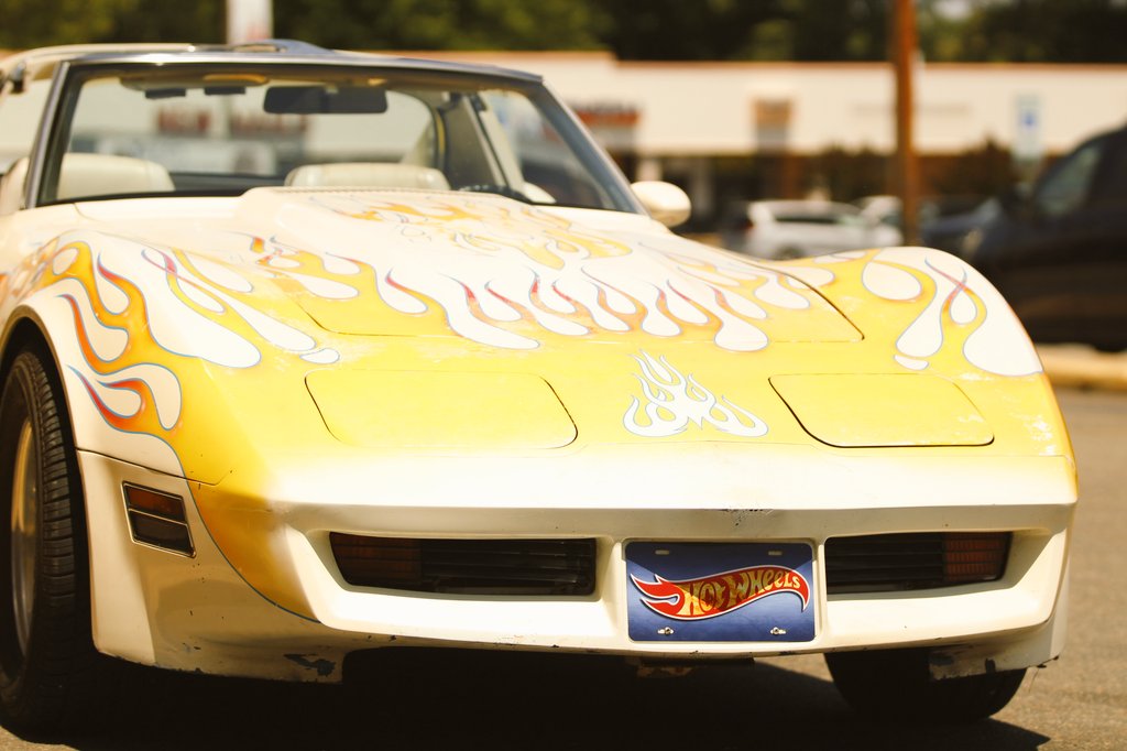 LizardWizard357's tweet photo. Found a real life hotwheels car out in the wild holy shit https://t.co/GKXERkGPUo