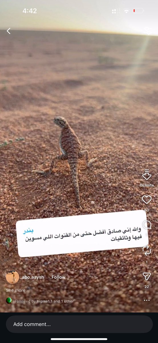 Abdallah tweet media