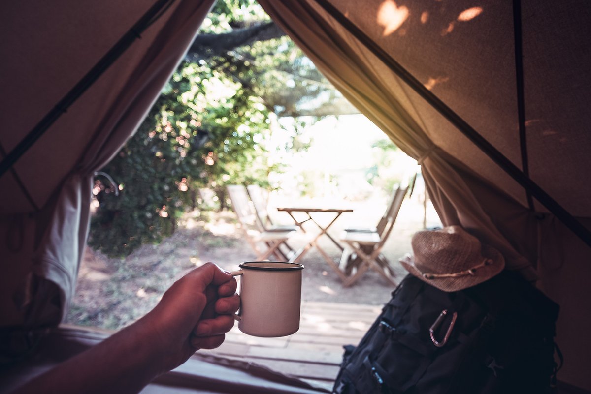 trendy tweet media