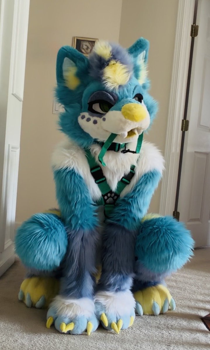 dork doggo tweet media