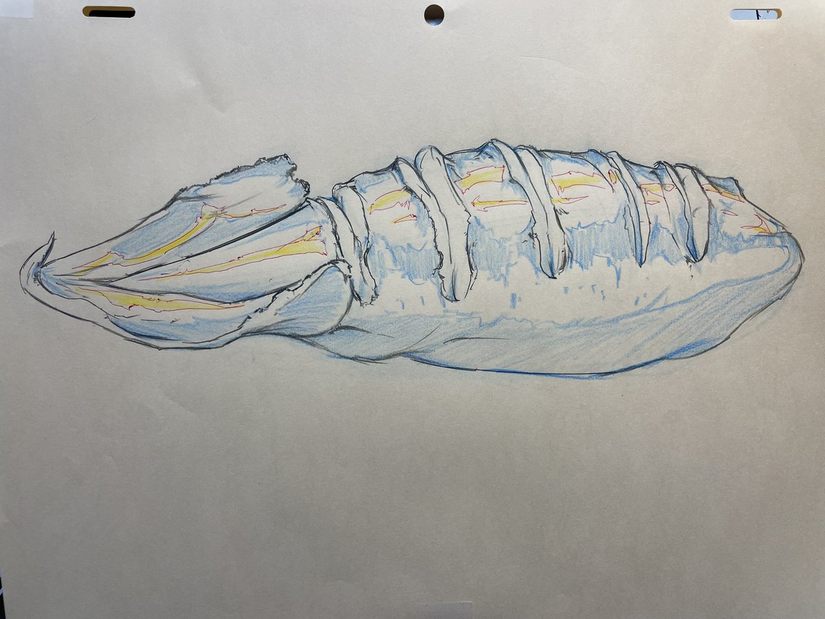 鉛筆画 1枚目は20歳頃に描いたクリーチャー。 2枚目は齧った後の