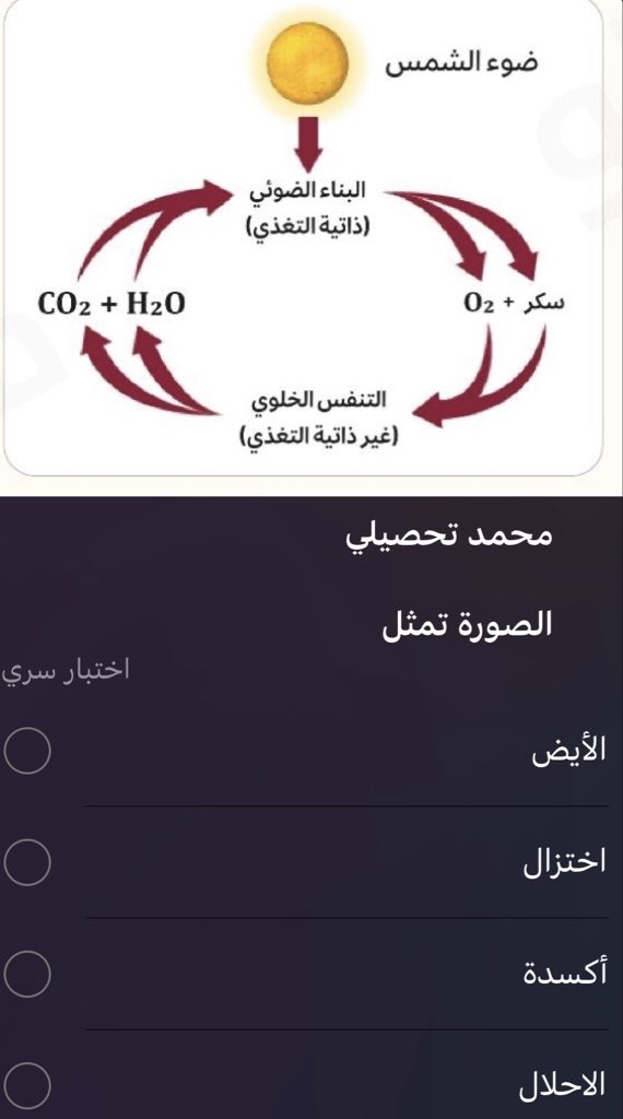 دكتاتوري tweet media