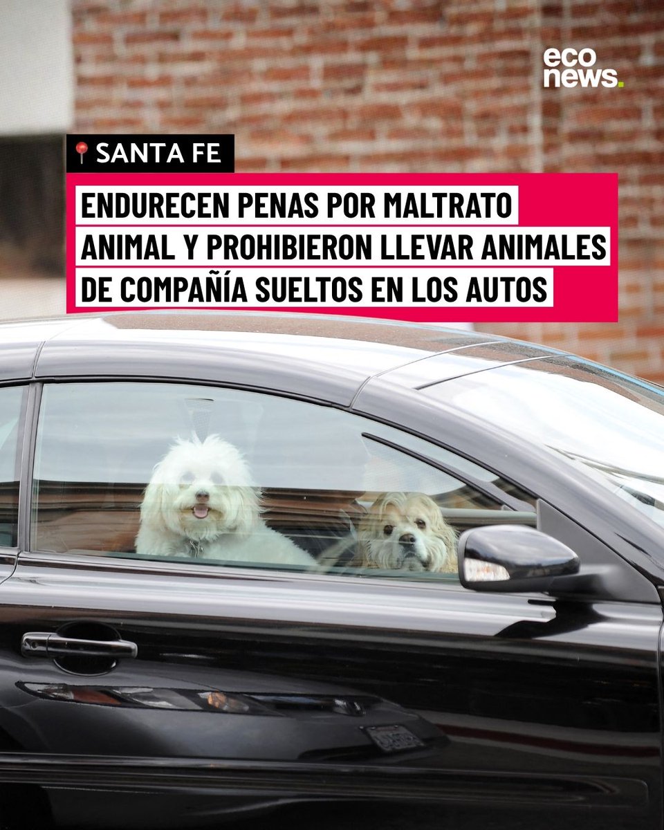 EcoNews en español tweet media