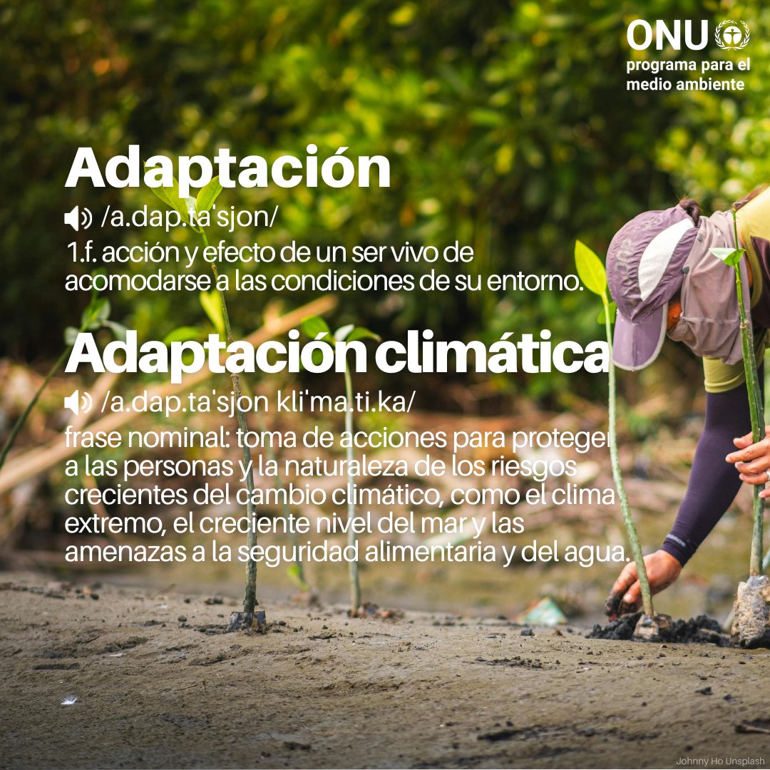 unep_espanol's tweet photo. La adaptación al clima consiste en ayudar a las comunidades a ajustarse a un clima cambiante, protegiendo vidas, sustentos y naturaleza, a la vez que se generan oportunidades de crecimiento.
Consulta nuestro informe #BrechaDeAdaptación o #AdaptationGap: https://t.co/Gp6jrDoUjq https://t.co/4r3GtlS9ED
