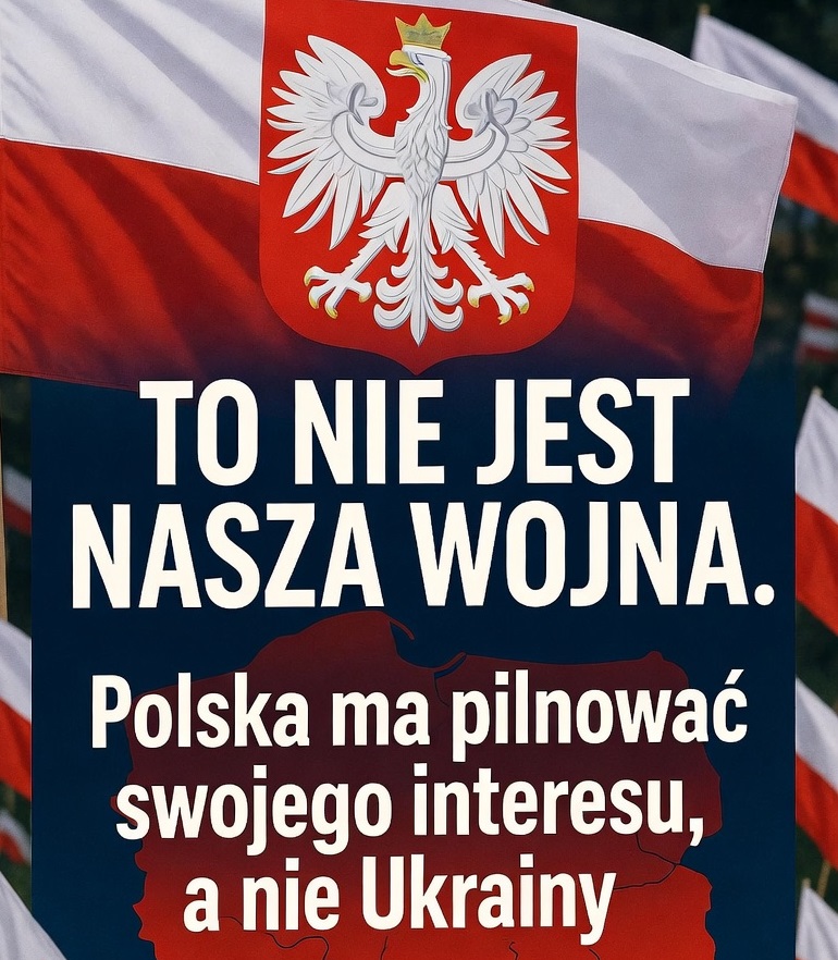 Bob Gedron 💯 🇵🇱 - Logicznie tweet media