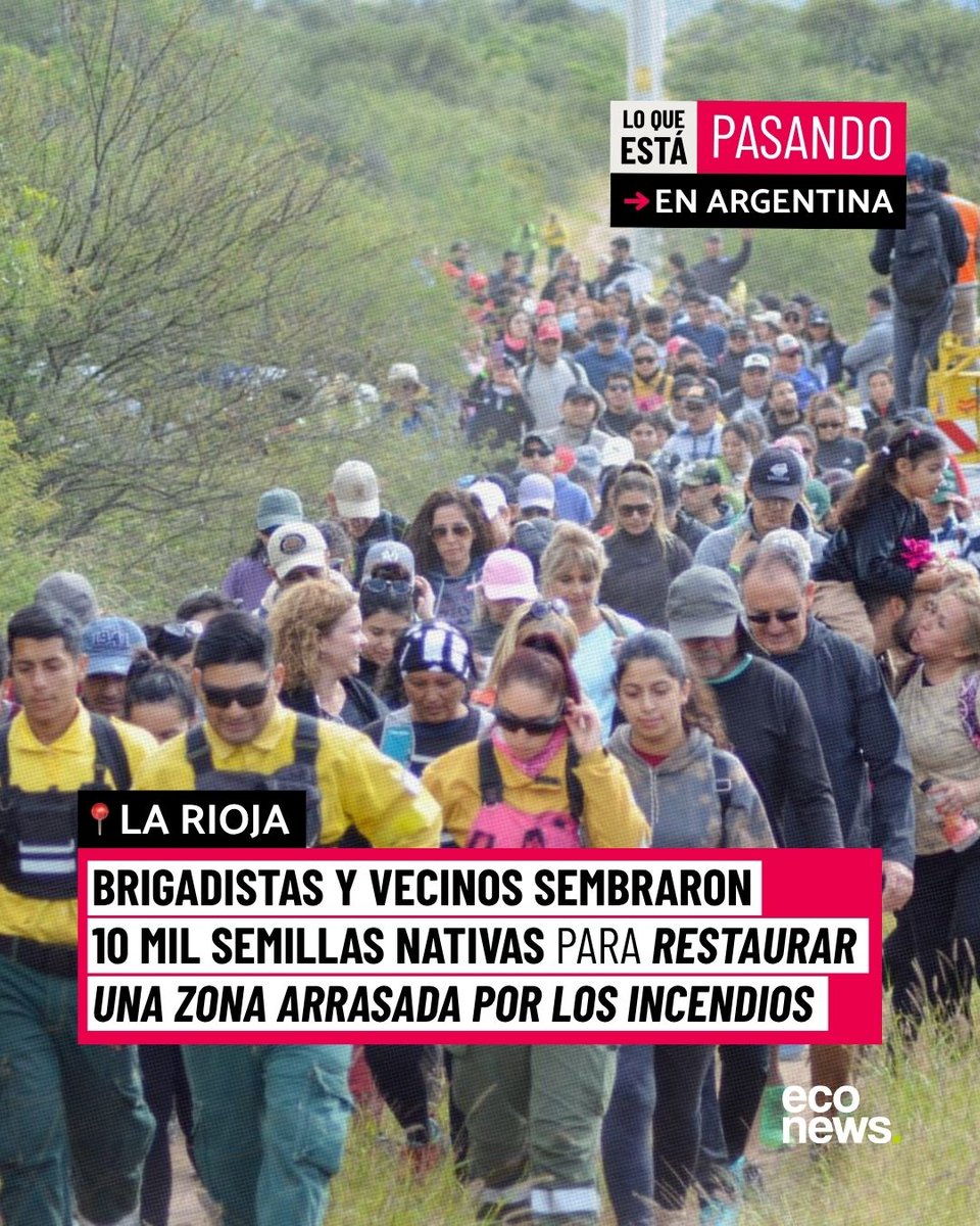 EcoNews en español tweet media