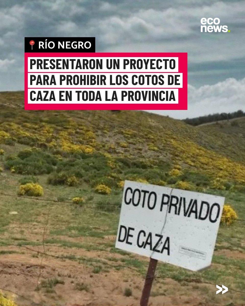 EcoNews en español tweet media