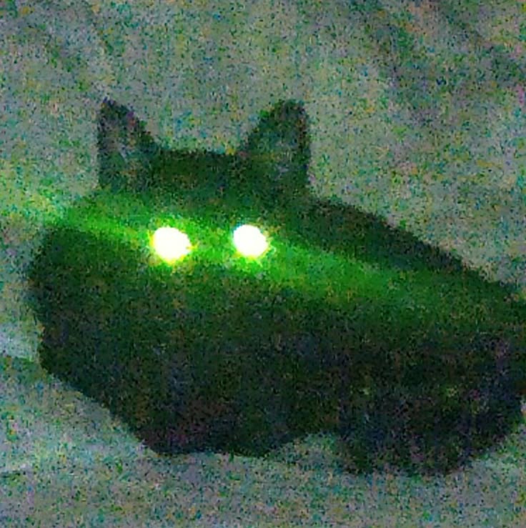 Alien Rio tweet media