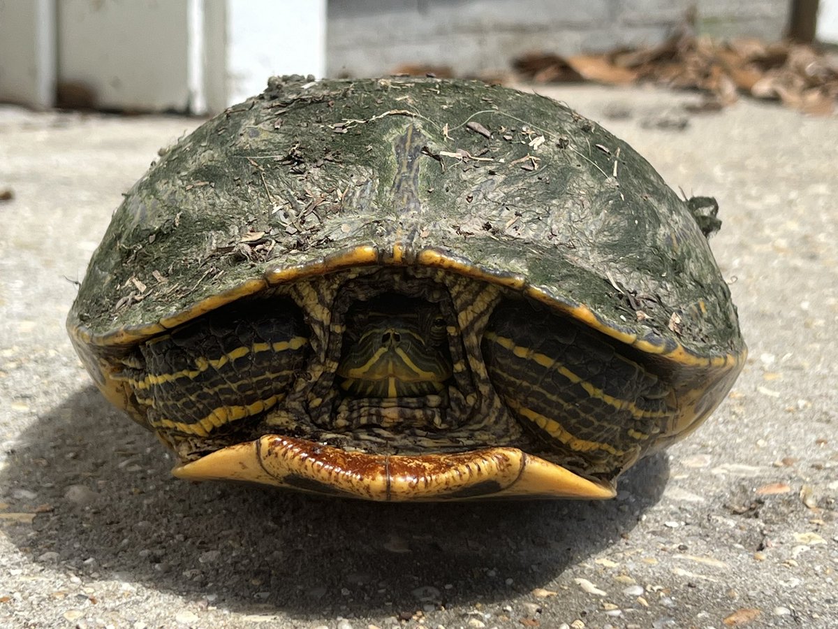 TheName’sEllen tweet media