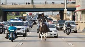 Bloomer42's tweet photo. @Chicago_Goofies At least the vehicle has wheels rather than hooves https://t.co/3PYWBt4KfR