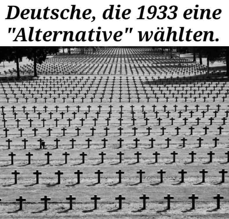 einPirol tweet media