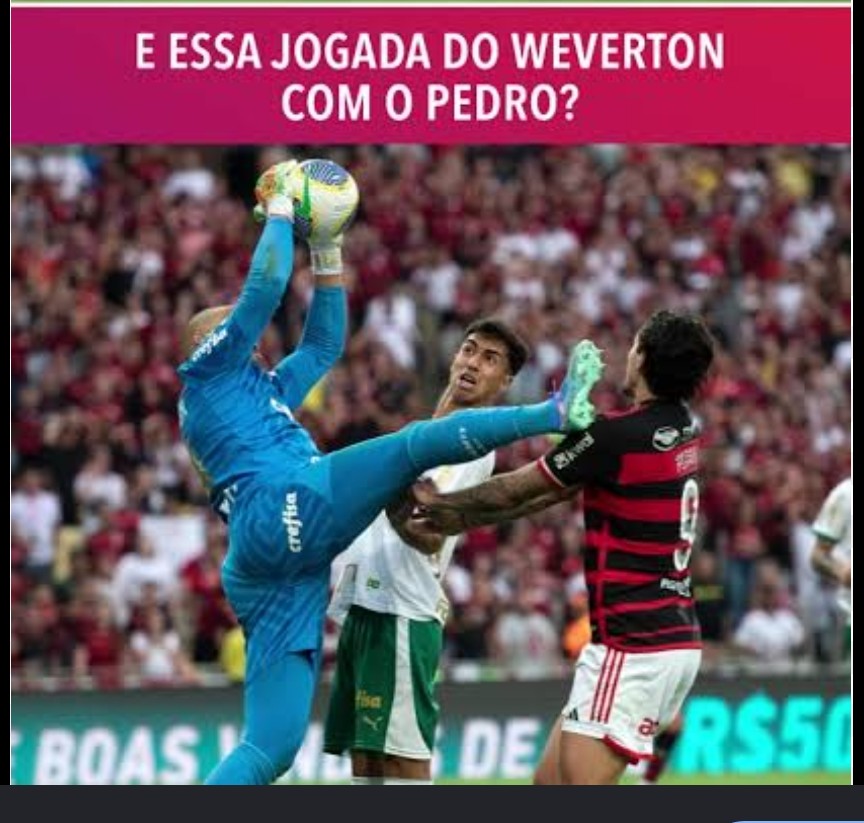 Calvão de cria tweet media