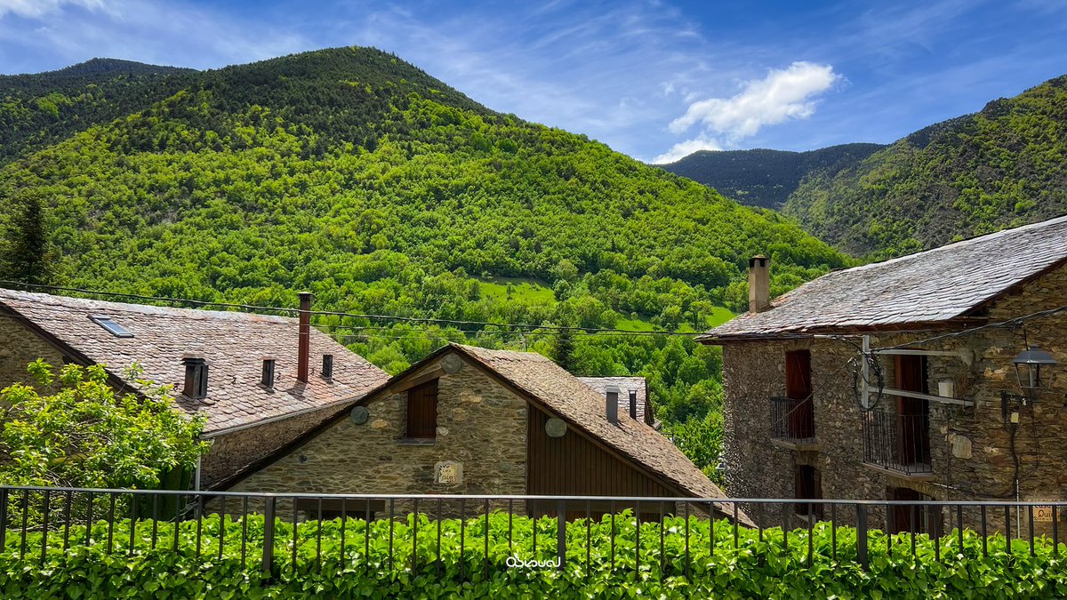 marcobiols_'s tweet photo. Mai tant!! 🏔️🌳 https://t.co/KHmc6MuGKD