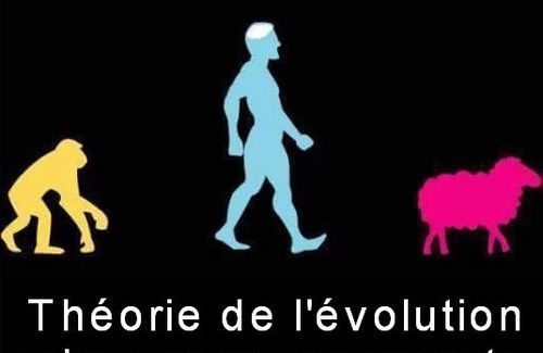 UN tweet media